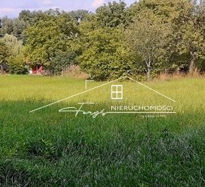 Podkarpackie. Kniażyce. Sprzedaż działek (1200/2609/OGS)