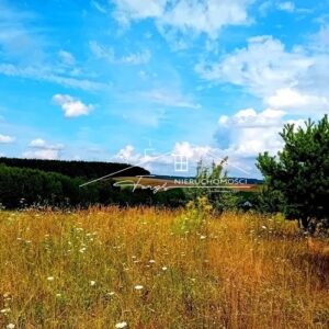 Podkarpackie. Kniażyce. Sprzedaż działek (1263/2609/OGS)