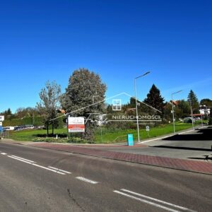 Podkarpackie. Ostrów. Sprzedaż działek (1267/2609/OGS)