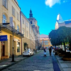 Podkarpackie. Przemyśl. ul. Franciszkańska. Domy na sprzedaż (1155/2609/ODS)