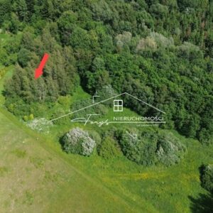 Podkarpackie. Borownica. Sprzedaż działek (1289/2609/OGS)