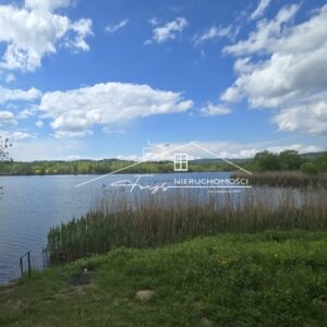 Podkarpackie. Ostrów. Sprzedaż działek (1291/2609/OGS)