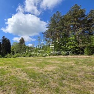 Podkarpackie. Olchowiec. Sprzedaż działek (1298/2609/OGS)