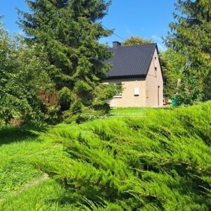 Podkarpackie. Medyka. Domy na sprzedaż (1167/2609/ODS)