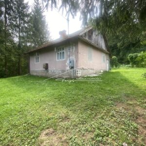 Podkarpackie. Krasiczyn. Domy na sprzedaż (1170/2609/ODS)