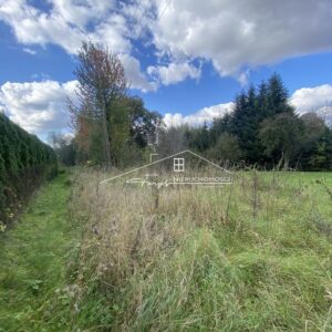 Podkarpackie. Drohojów. Sprzedaż działek (1303/2609/OGS)