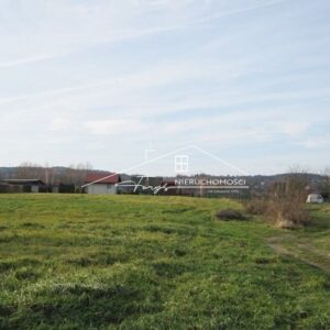 Podkarpackie. Ostrów. Sprzedaż działek (657/2609/OGS)