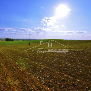 Podkarpackie. Przeworsk. Sprzedaż działek (973/2609/OGS)