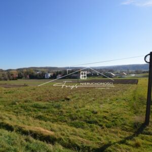 Podkarpackie. Bachórzec. Sprzedaż działek (982/2609/OGS)