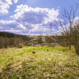 Podkarpackie. Świebodna. Sprzedaż działek (861/2609/OGS)
