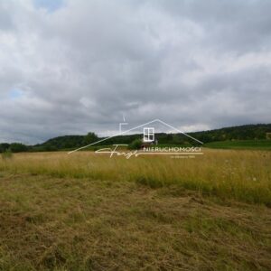 Podkarpackie. Sólca. Sprzedaż działek (1185/2609/OGS)