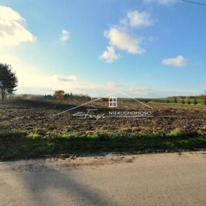 Podkarpackie. Studzian. Sprzedaż działek (1239/2609/OGS)