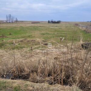 Podkarpackie. Nowy Dzików. Sprzedaż działek (1244/2609/OGS)