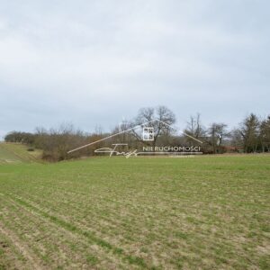 Kruhel Pawłosiowski